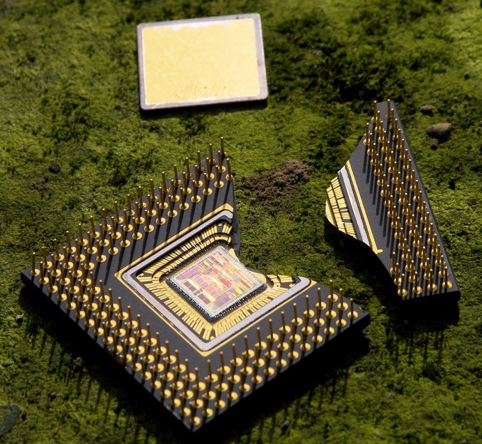 killed_68040.jpg killed_68040.jpg